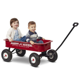 Two children in RADIO FLYER